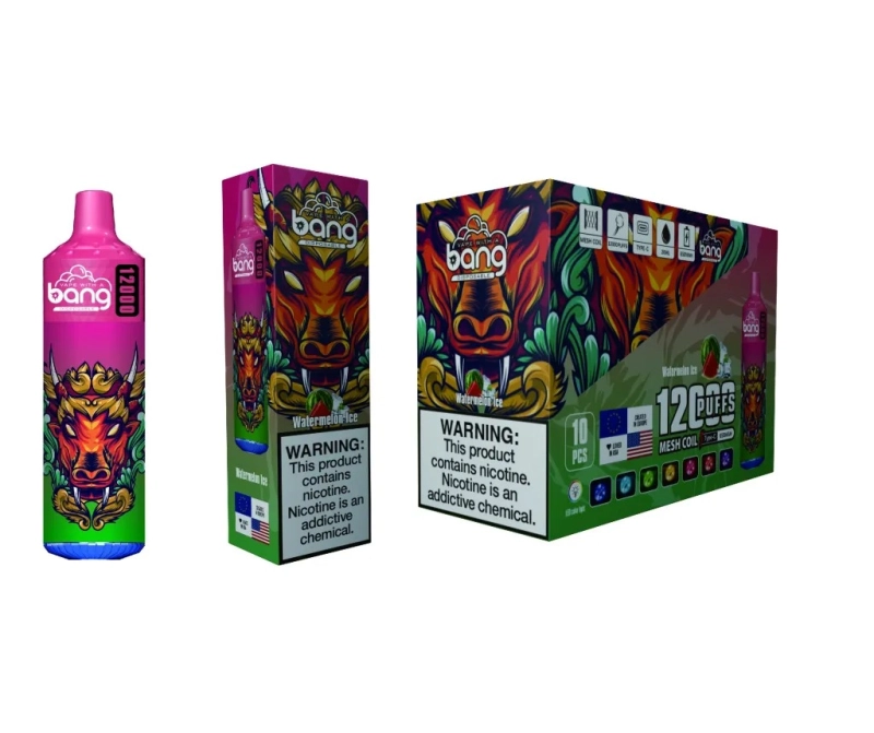 BANG 12000 Puffs 0% 2% 5% Low Nicotine Bulk Buy Rechargeable Disposable Vapes Pen Wholesale