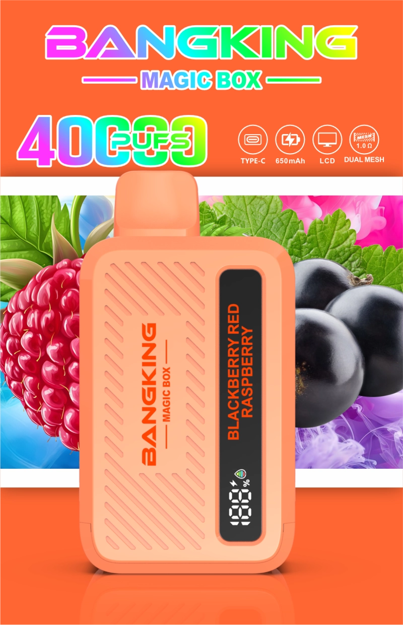6_20260924164722