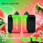 西瓜冰 Watermelon Ice_20260924170204