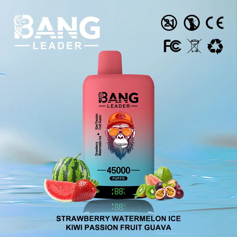 2 in 1 Flavors 45k puffs Dual Flavor Mouth to lung (MTL) Order Start 2 pcs Recharge Smart screen