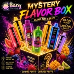 Premium Mystery Vape Box with mixed random devices, flavors and 110K–300K puff options