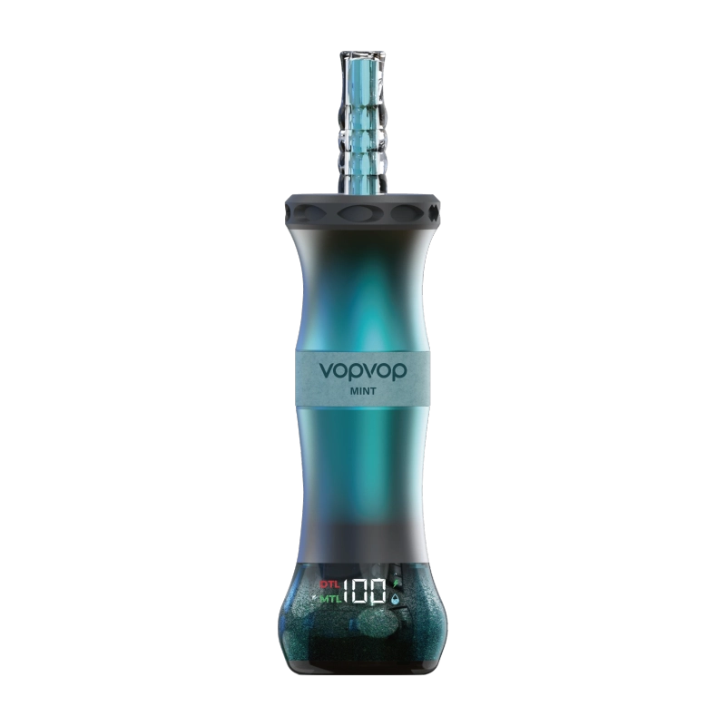 VopVop 300K Puffs Vape Mint
