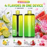 Bang Box 160K flavor set 01 with Lemon Lime, Iced Watermelon, Strawberry Dragon Fruit and Love 66