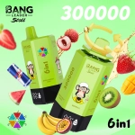 Bang Leader Stoll 300000 Puffs 6 in 1 Disposable Vape 0% 2% 3% 5% Nicotines 12Flavors Ultra Long Performance Smart Screen FDVape Factory Wholesale