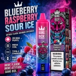 Bang Box 20000 Puffs rechargeable vape in Sour Blueberry Raspberry Ice flavor with icy berry imagery
