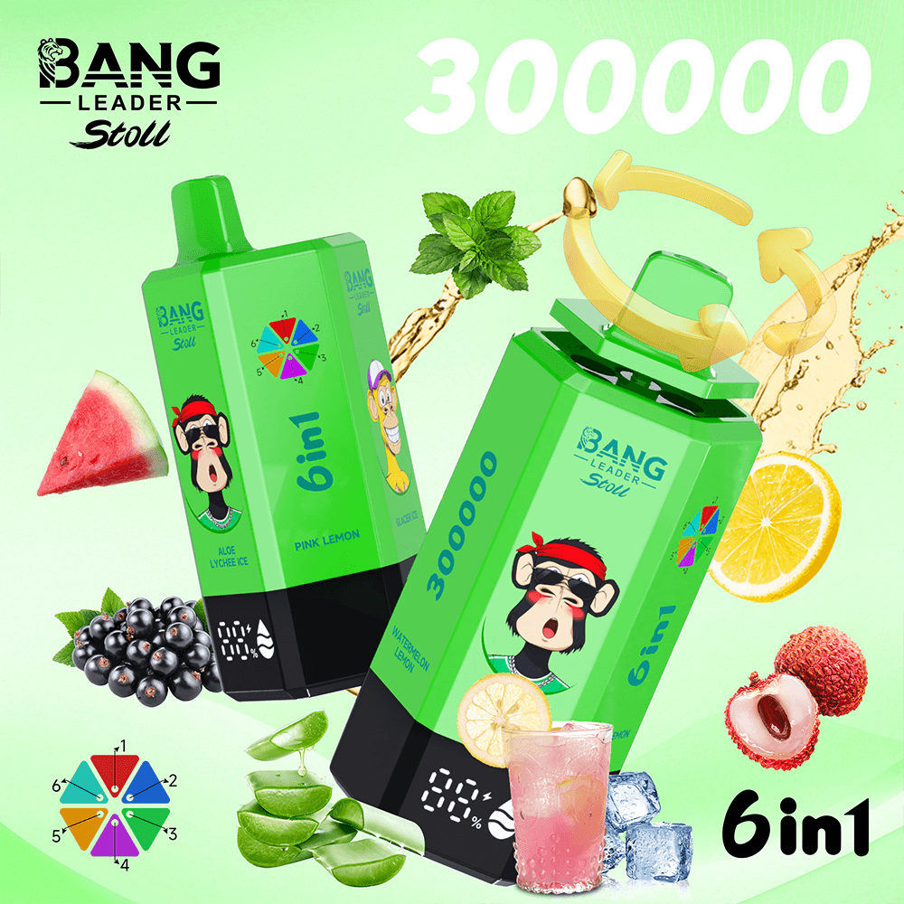Bang Leader Stoll VAPE 300K 6.Aloe Lychee Ice & Pink Lemone & Glacier Ice & Pine Needle Mint & Black Currant Ice & Watermelon Lemon