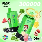 Bang Leader Stoll 300000 Puffs 6 in 1 Disposable Vape 0% 2% 3% 5% Nicotines 12Flavors Ultra Long Performance Smart Screen FDVape Factory Wholesale