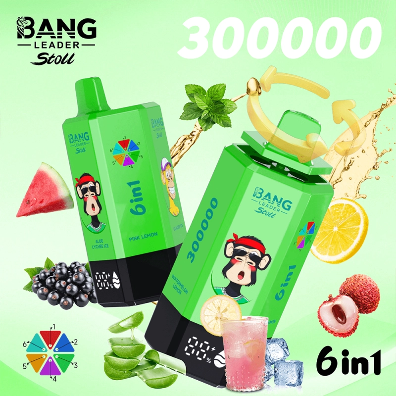 Bang Leader Stoll 300000 Puffs 6 in 1 Disposable Vape 0% 2% 3% 5% Nicotines 12Flavors Ultra Long Performance Smart Screen FDVape Factory Wholesale