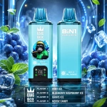 Bang Box 8 IN 1 200000 Puffs Disposable Vape, Blue Mint Ice