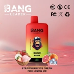 Bang Leader 45000 45k Puffs Dual Flavors Disposable Vape pen 0% 2% 3% 5% Nicotine 12Tastes LED Display Factory Direct