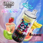 Bang Leader Stoll 100000 100K Puffs 4 in 1 Flavors Disposable Vape 0% 2% 3% 5% Nicotines 10Tastes Smart Screen-Vape Factory Wholesale
