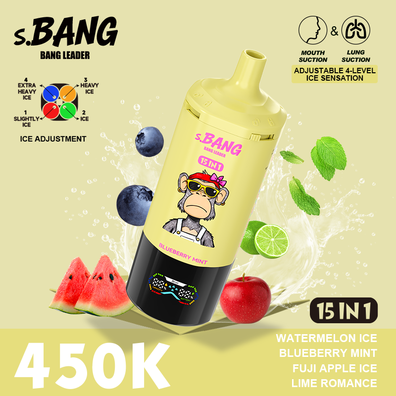 7.Bang Leader Stoll VAPE 450K 15 in 1 vape