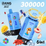 Bang Leader Stoll 300000 Puffs 6 in 1 Disposable Vape 0% 2% 3% 5% Nicotines 12Flavors Ultra Long Performance Smart Screen FDVape Factory Wholesale