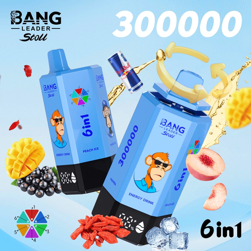 Bang Leader Stoll 300000 Puffs 6 in 1 Disposable Vape 0% 2% 3% 5% Nicotines 12Flavors Ultra Long Performance Smart Screen FDVape Factory Wholesale