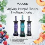 VopVop 300K Puffs Vape 