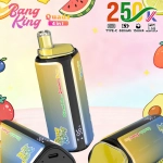 24hvape-bang-king-250000-250k-puffs-watermelon-ice-strawberry-mango-blueberry-ice-fizzy-cherry-