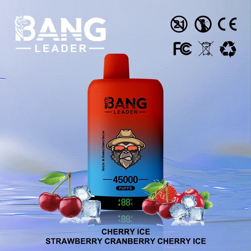 2 in 1 Flavors 45k puffs Dual Flavor Mouth to lung (MTL) Order Start 2 pcs Recharge Smart screen