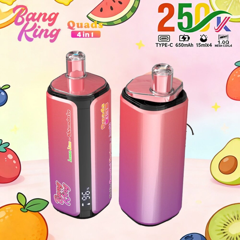 24hvape-bang-king-250000-250k-puffs-lemon-lime-watermelon-ice-black-ice-dragon-fruit-strawberry-love66-