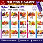 VapSolo Quads 80K 4 in 1 Vape Multiple Flavor Combinations and Surprise Pack