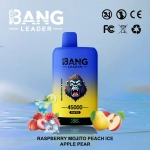 Bang Leader 45000 45k Puffs Dual Flavors Disposable Vape pen 0% 2% 3% 5% Nicotine 12Tastes LED Display Factory Direct