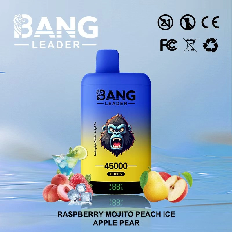 Bang Leader 45000 45k Puffs Dual Flavors Disposable Vape pen 0% 2% 3% 5% Nicotine 12Tastes LED Display Factory Direct