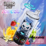 Bang Leader Stoll 100000 100K Puffs 4 in 1 Flavors Disposable Vape 0% 2% 3% 5% Nicotines 10Tastes Smart Screen-Vape Factory Wholesale