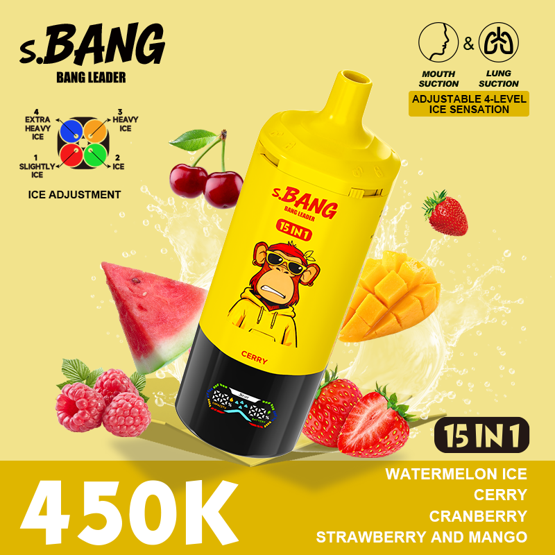 1.Bang Leader Stoll VAPE 450K 15 in 1 vape