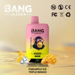 Bang Leader 45000 45k Puffs Dual Flavors Disposable Vape pen 0% 2% 3% 5% Nicotine 12Tastes LED Display Factory Direct