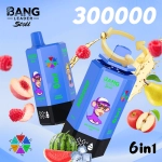 Bang Leader Stoll 300000 Puffs 6 in 1 Disposable Vape 0% 2% 3% 5% Nicotines 12Flavors Ultra Long Performance Smart Screen FDVape Factory Wholesale