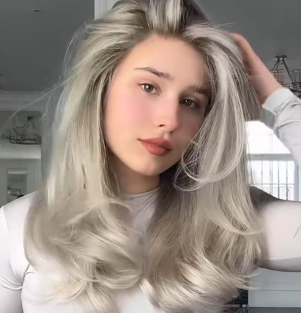 Transparent HD Lace Highlight Human Hair Wig